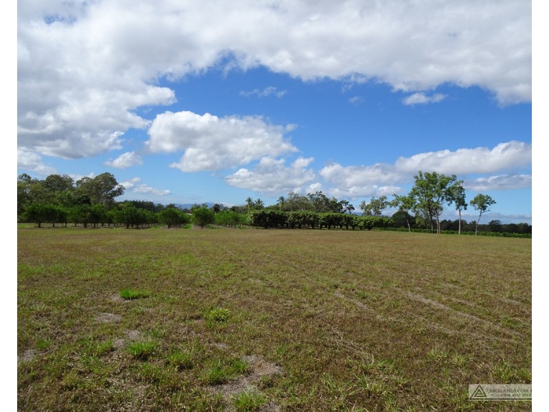 Paddys Green QLD 4880