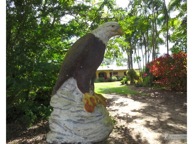 Paddys Green QLD 4880