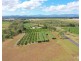 Paddys Green QLD 4880