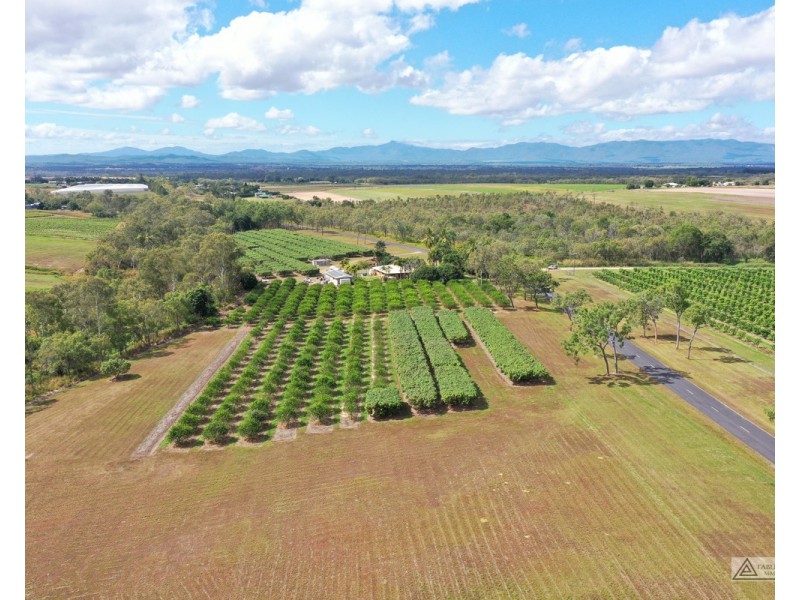 Paddys Green QLD 4880