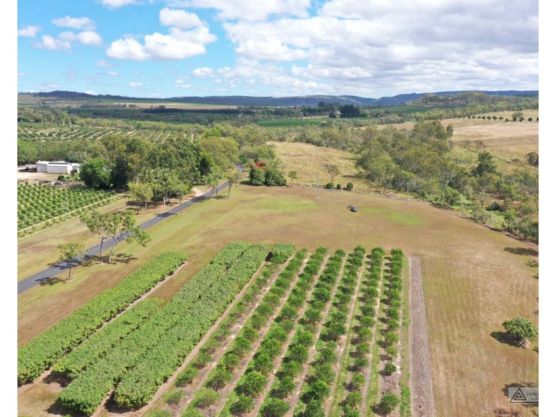 Paddys Green QLD 4880