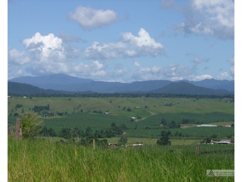 East Palmerston QLD 4860