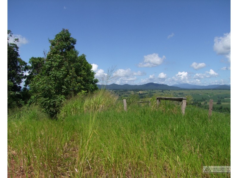 East Palmerston QLD 4860