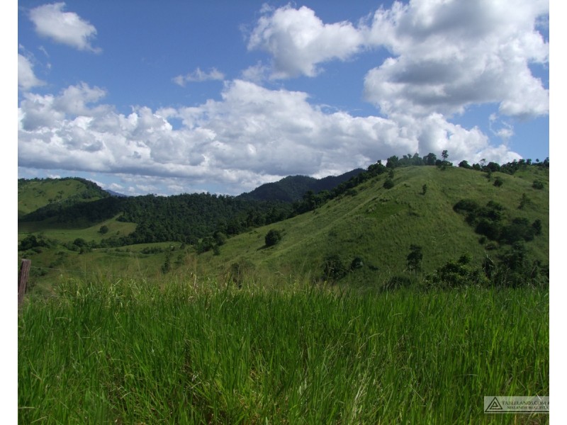 East Palmerston QLD 4860