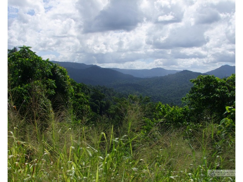 East Palmerston QLD 4860