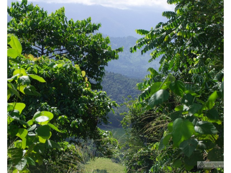 East Palmerston QLD 4860