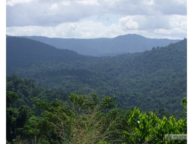 East Palmerston QLD 4860