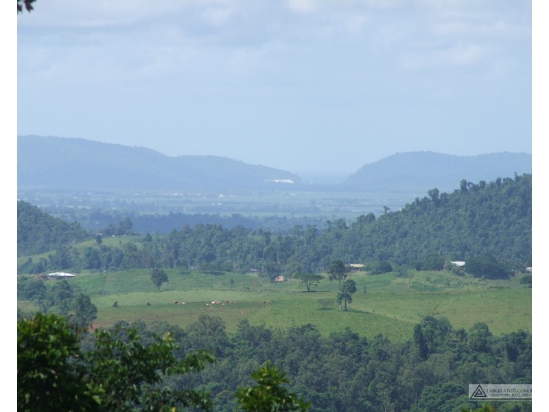 East Palmerston QLD 4860