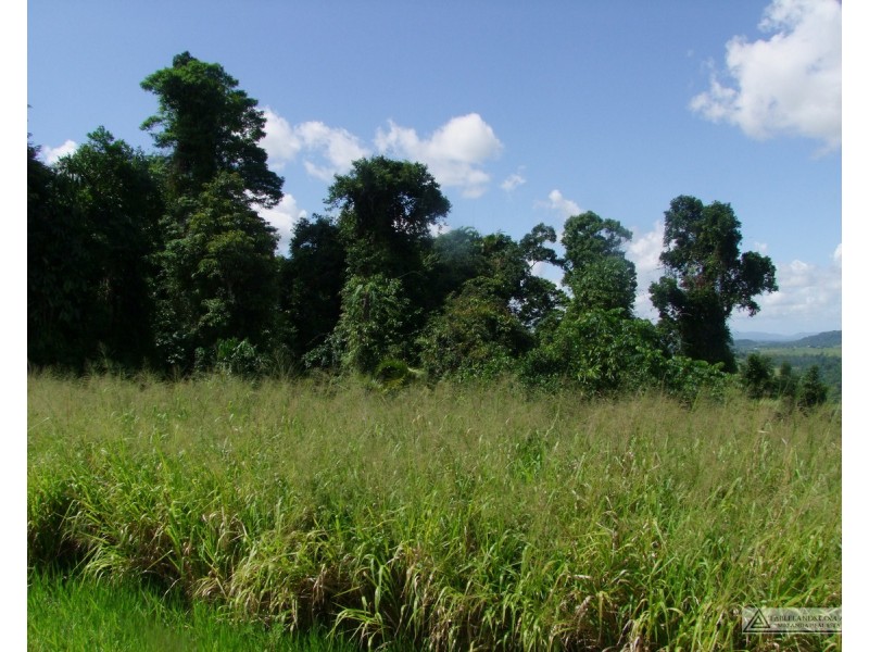 East Palmerston QLD 4860