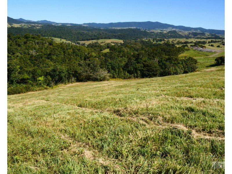 Millaa Millaa QLD 4886