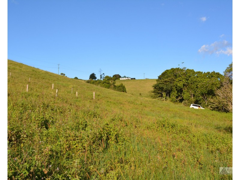 Millaa Millaa QLD 4886