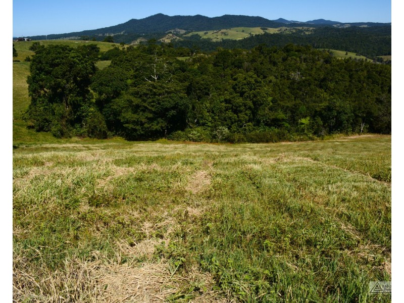 Millaa Millaa QLD 4886