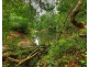 Millaa Millaa QLD 4886