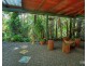 Millaa Millaa QLD 4886