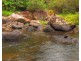 Millaa Millaa QLD 4886