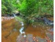 Millaa Millaa QLD 4886