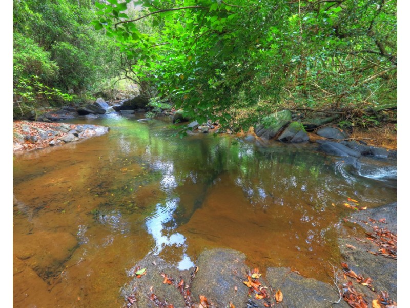 Millaa Millaa QLD 4886