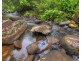 Millaa Millaa QLD 4886