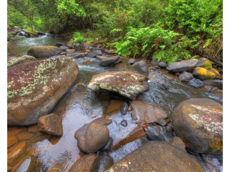 Millaa Millaa QLD 4886