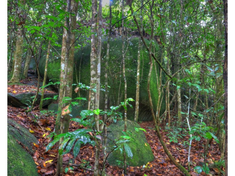 Millaa Millaa QLD 4886