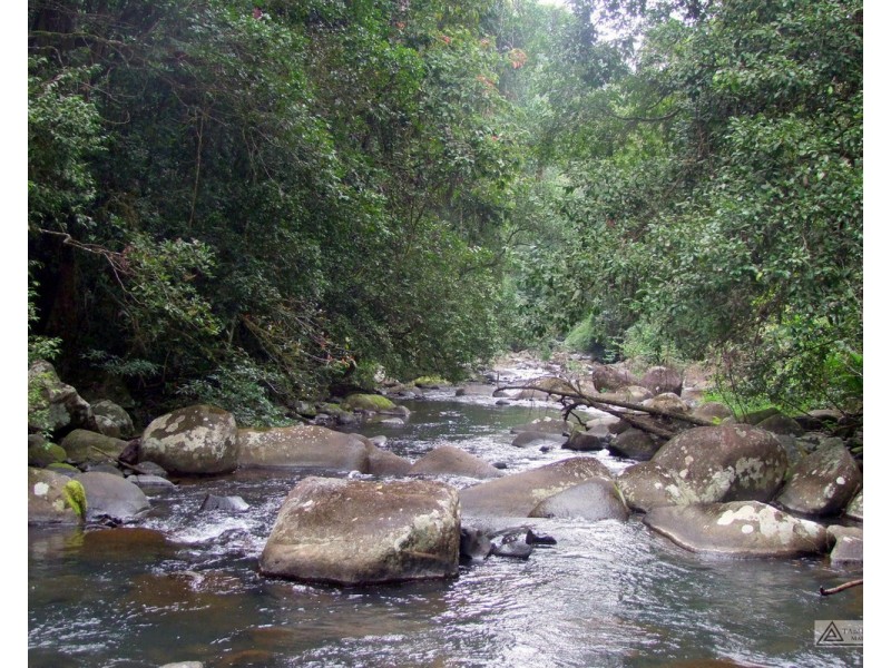 Millaa Millaa QLD 4886