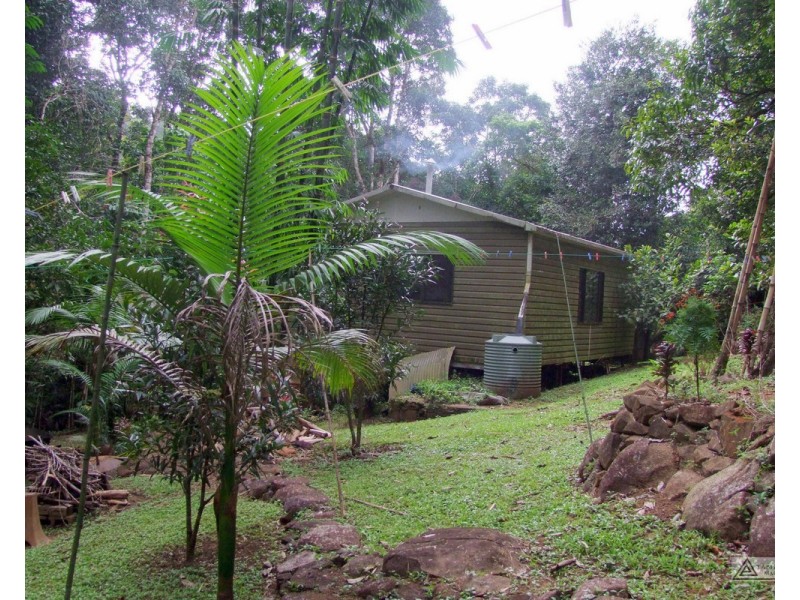 Millaa Millaa QLD 4886