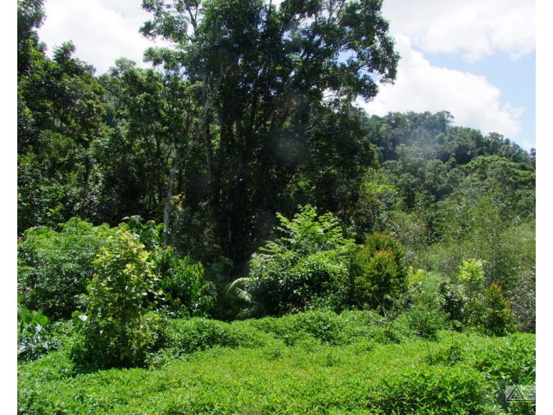 Millaa Millaa QLD 4886