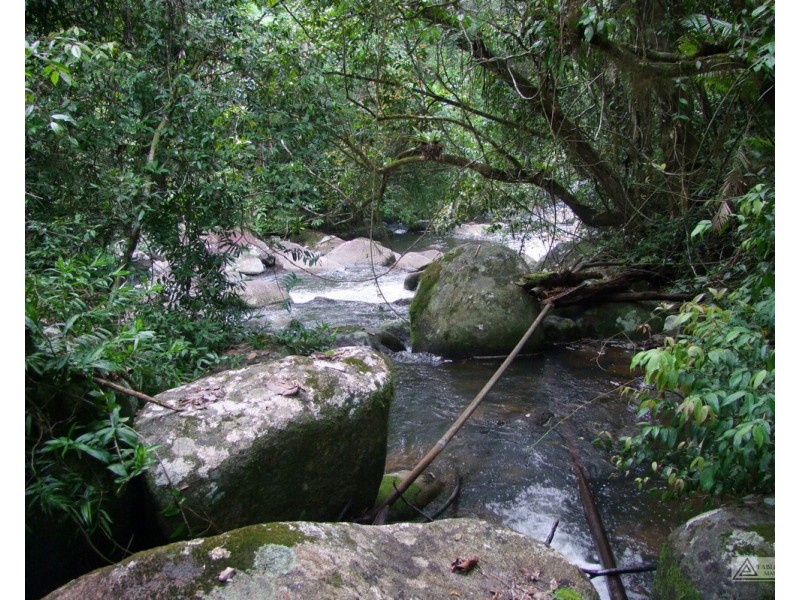 Millaa Millaa QLD 4886