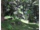 Millaa Millaa QLD 4886