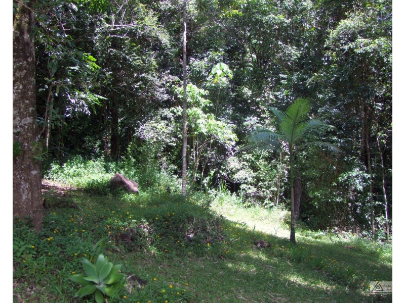 Millaa Millaa QLD 4886