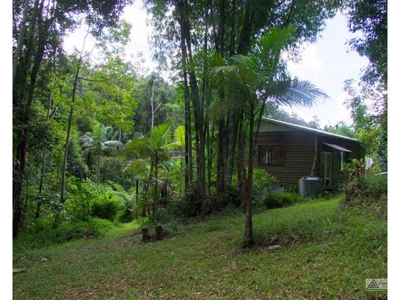 Millaa Millaa QLD 4886