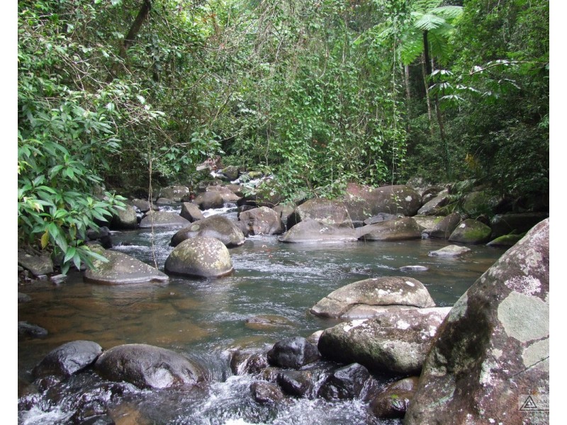 Millaa Millaa QLD 4886