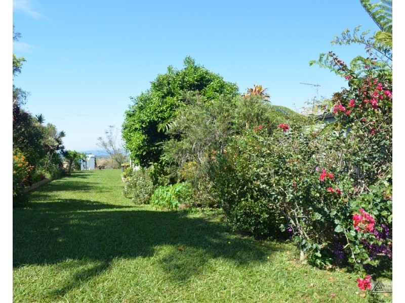 Millaa Millaa QLD 4886