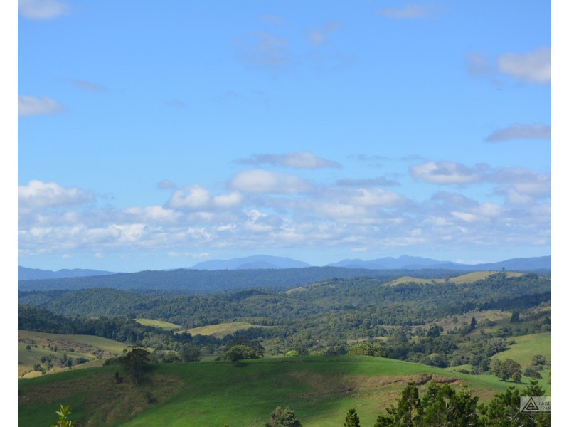 Millaa Millaa QLD 4886