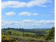 Millaa Millaa QLD 4886