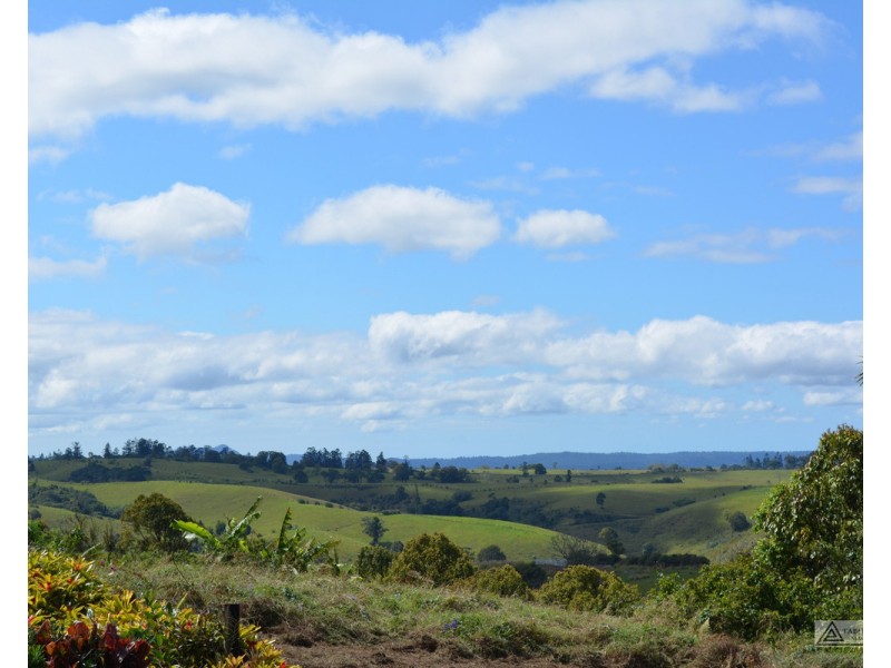 Millaa Millaa QLD 4886