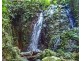 Millaa Millaa QLD 4886