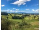 Millaa Millaa QLD 4886
