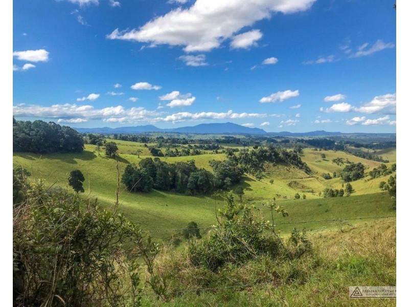 Millaa Millaa QLD 4886