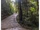 Millaa Millaa QLD 4886