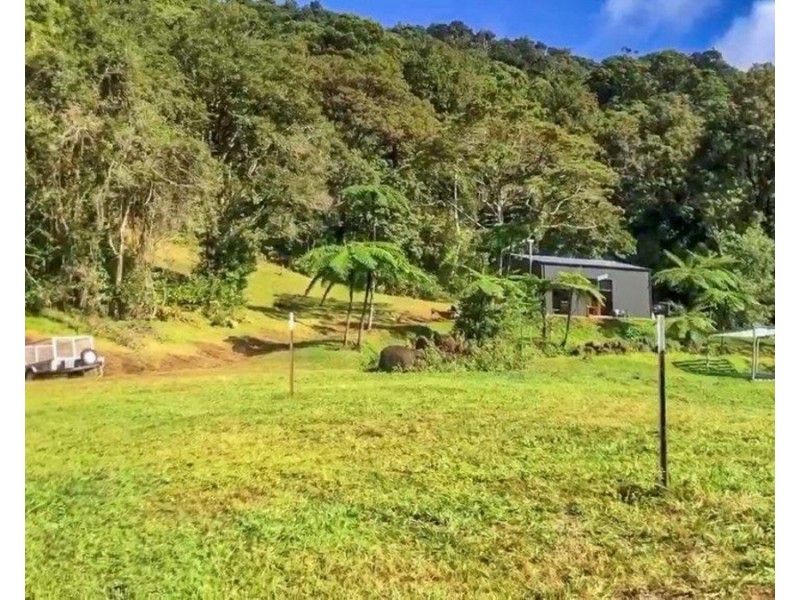 Millaa Millaa QLD 4886