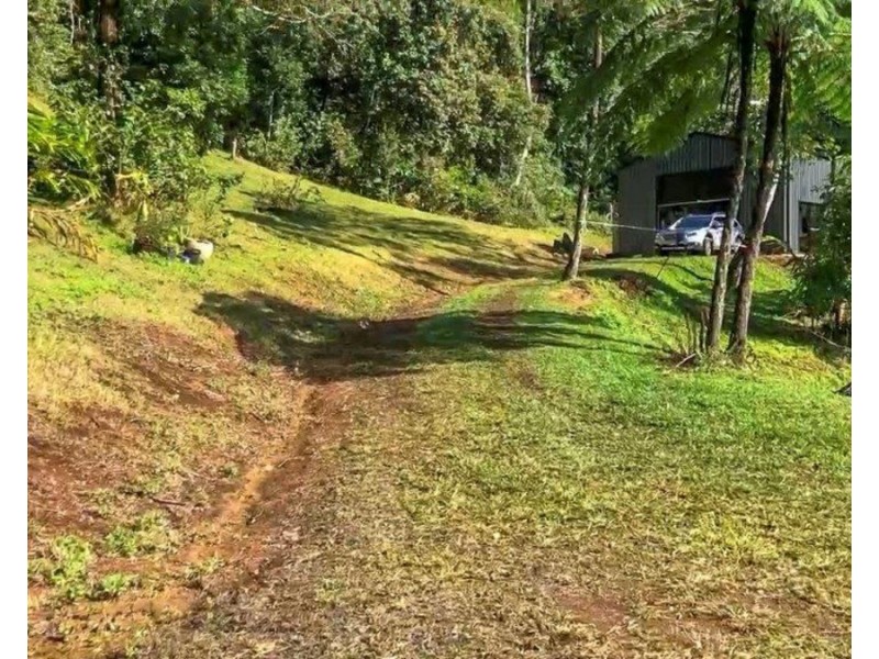 Millaa Millaa QLD 4886