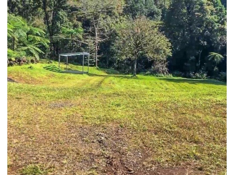 Millaa Millaa QLD 4886