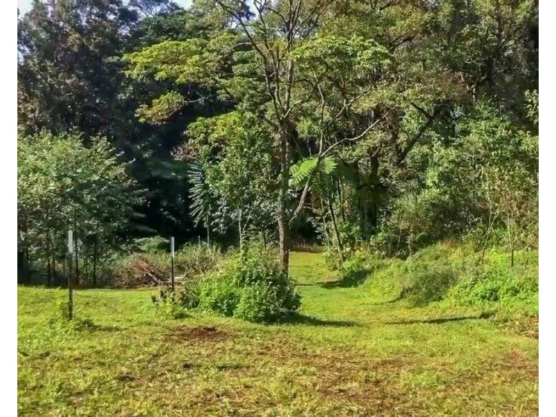 Millaa Millaa QLD 4886