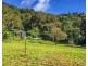 Millaa Millaa QLD 4886