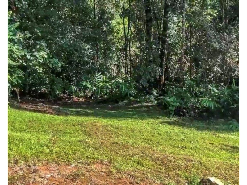 Millaa Millaa QLD 4886