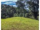 Millaa Millaa QLD 4886
