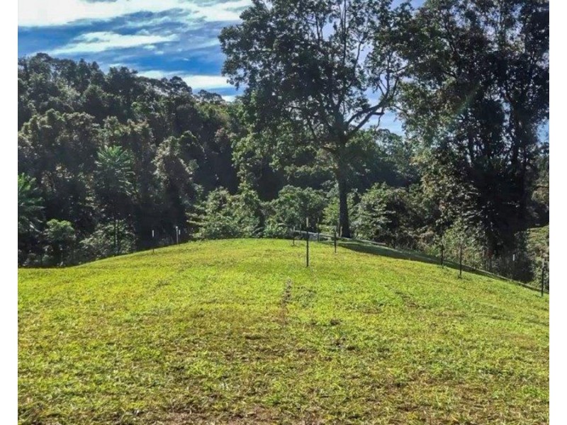 Millaa Millaa QLD 4886