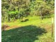 Millaa Millaa QLD 4886