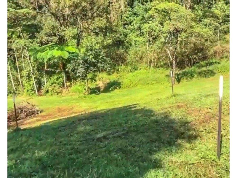 Millaa Millaa QLD 4886